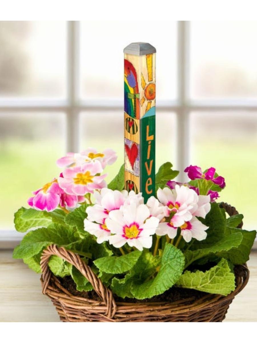 STU Live 10in Mini Art Pole